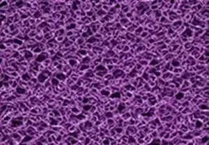 Roxo - Cores de Tapetes - Real Tapetes