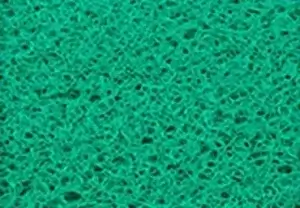 Verde Piscina - Cores de Tapetes - Real Tapetes